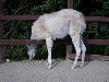 s_IMGP0349s.png